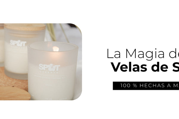 Elegancia y Aromas Únicos