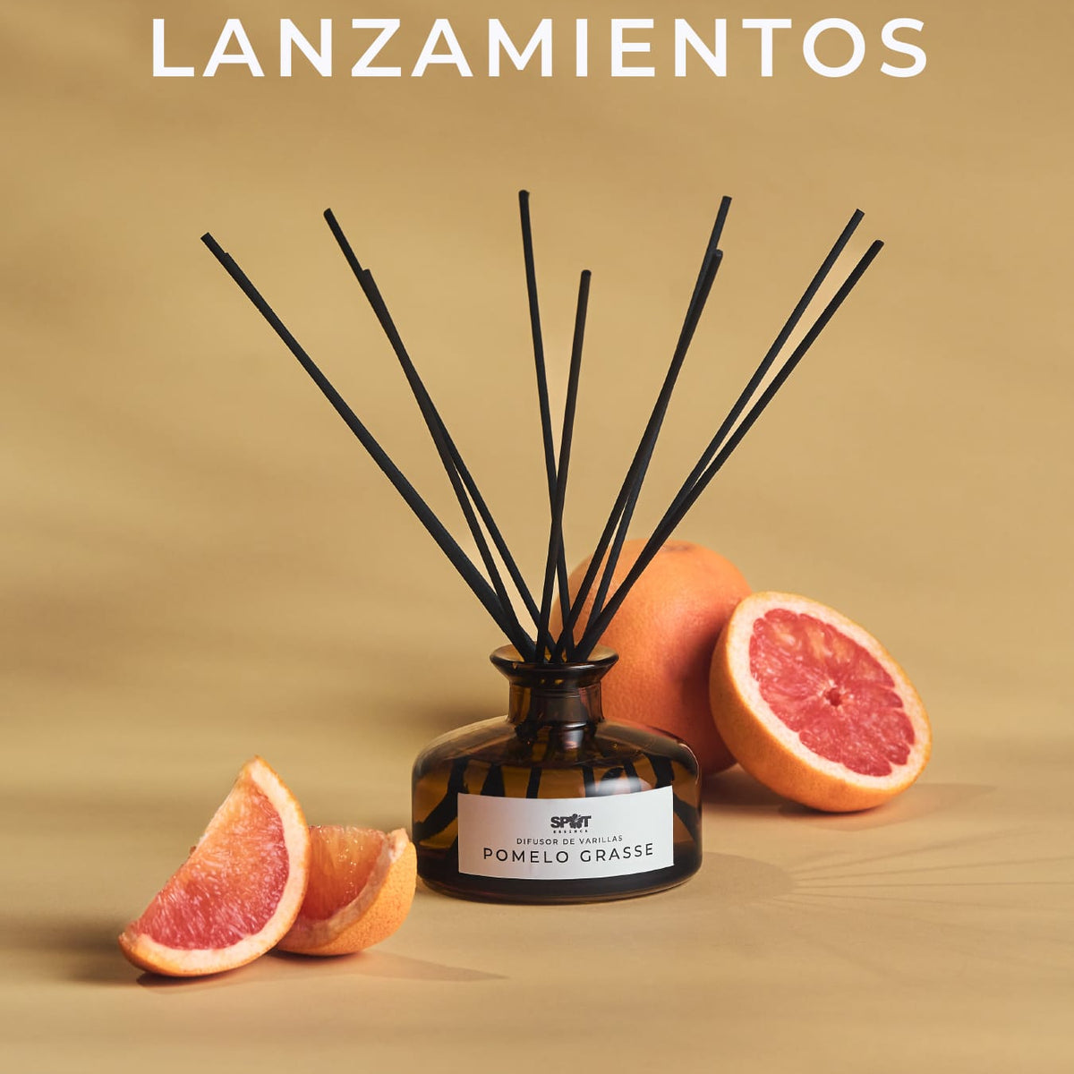 Lanzamientos - Novedades