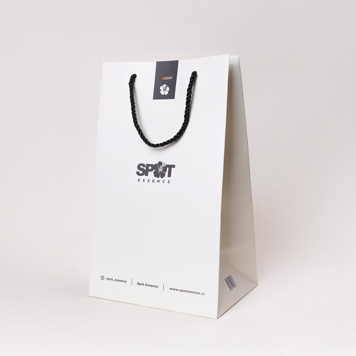 Bolsa Mediana (33x20x14cms)