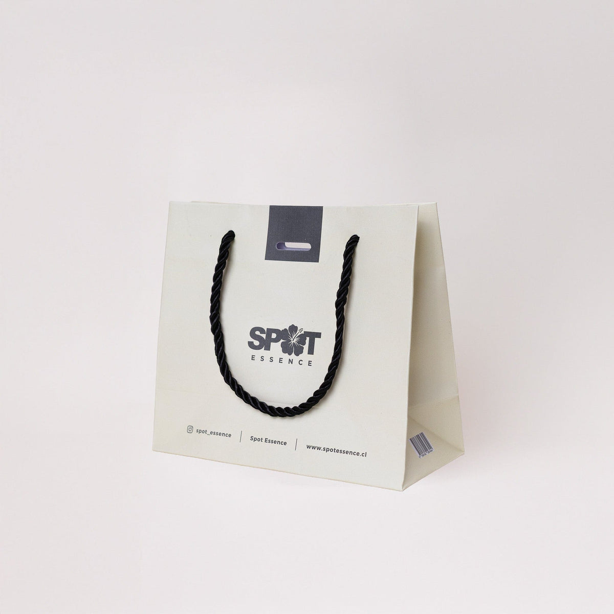 Bolsa Pequeña (16x14x7cms)