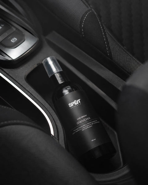 Car Spray Coco Lime 100ml