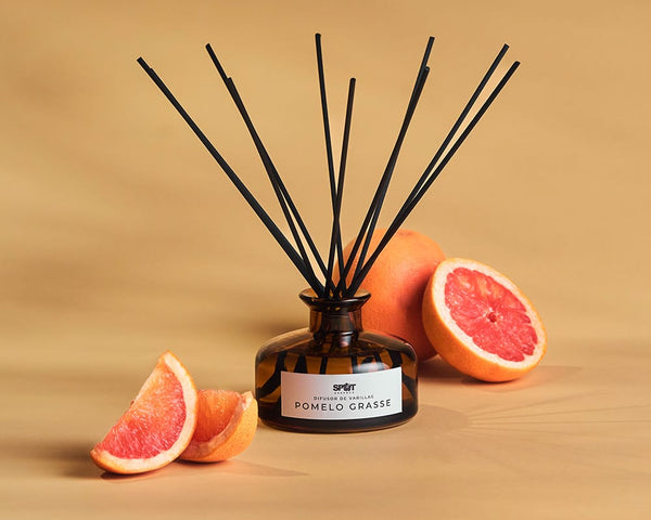 Difusor de Varillas 175ml Ámbar Pomelo Grasse