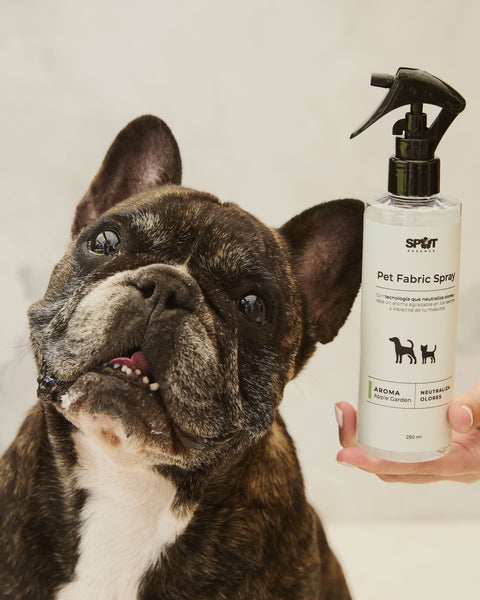Pet Fabric Spray 250ml Fresh Paws