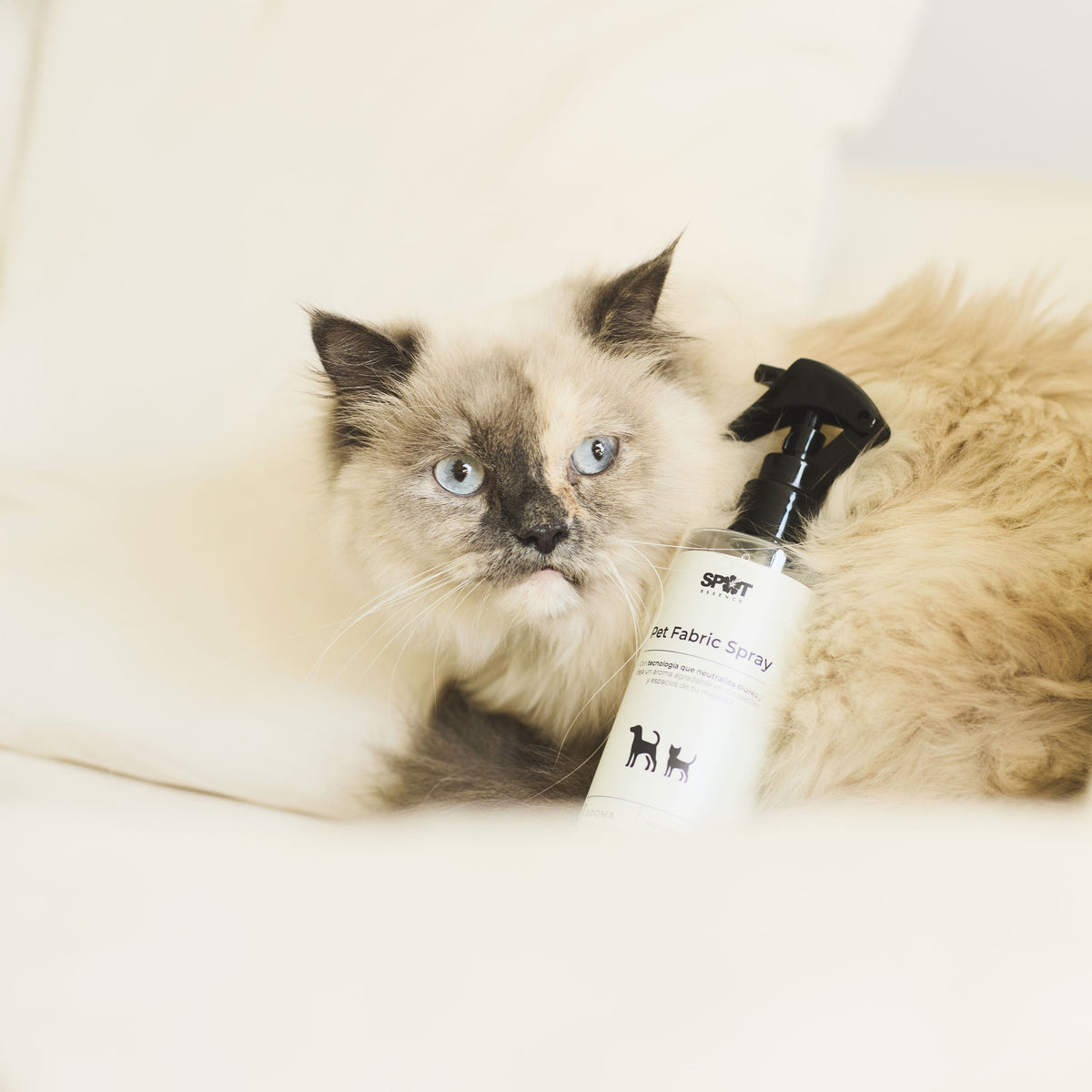 Pet Fabric Spray