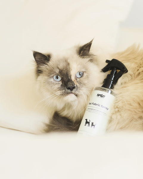 Pet Fabric Spray 250ml Fresh Paws