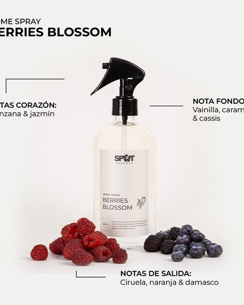 Spray home Berries Blossom LH 500 ml