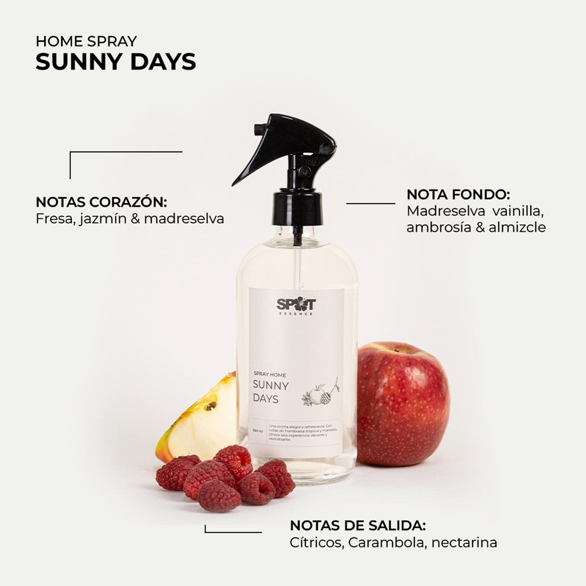 Spray Home Sunny Days 500 ml