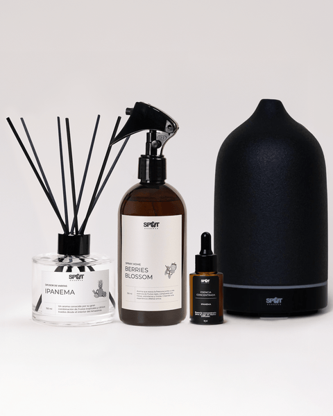 Starter Pack 2 : Home Essence Collection